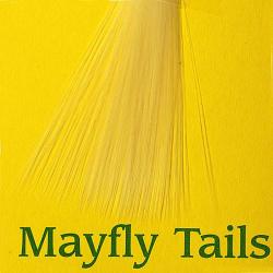Mayfly tails jaune p&acirc;le