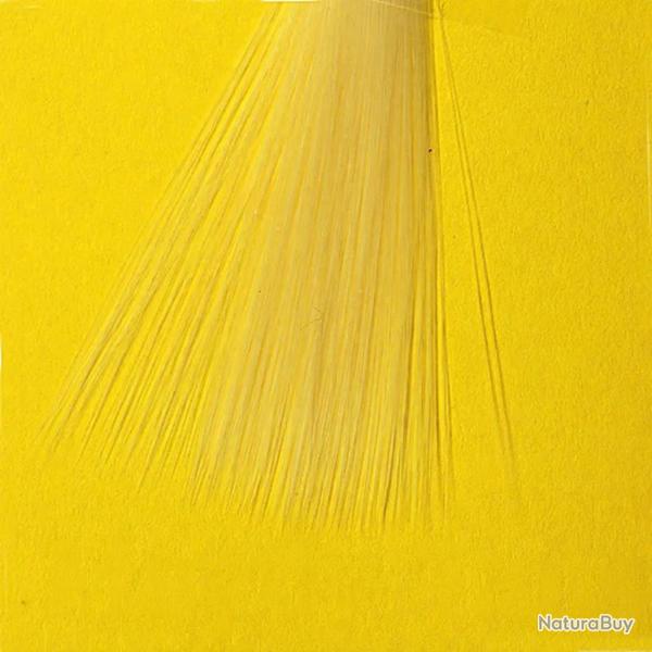 Mayfly tails jaune p�le