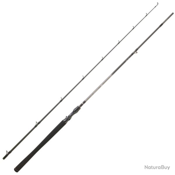 Canne Casting Daiwa Exceler 2025 60 - 120g 2 2m29 182g 180cm