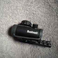 Point rouge bushnell