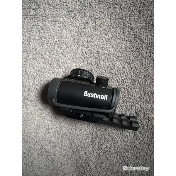 Point rouge bushnell