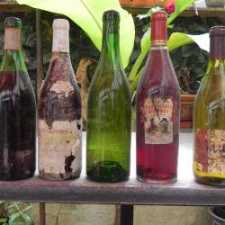 LOT DE 5 BOUTEILLES DE VIN DIVERS (et UN CALVADOS?)