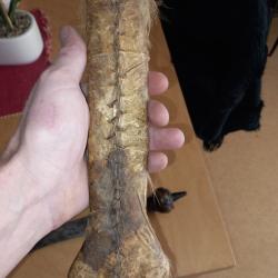 Couteau artisanal africain