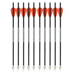 10 Fl&egrave;ches de chasse 13 pouces en carbone pour FMA Supersonic Hunt Pack