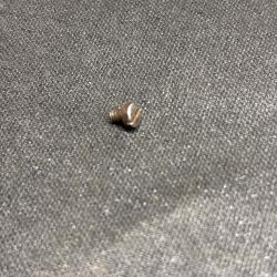 Vis de plaquette Pistolet BAYARD 1908 n&deg;1