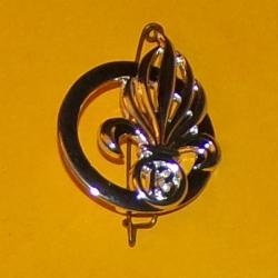 LEGION : 13&deg; DEMI BRIGADE DE LA LEGION ETRANGERE DE L'ARMEE FRANCAISE ,ARGENTE ESCADRON DE RECONNAIS