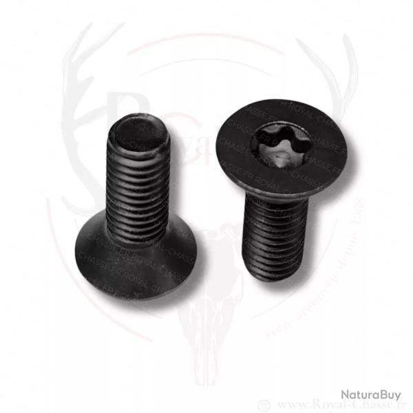 Vis de fixation carcasse avant R8 Professional Torx M5x14 BLASER