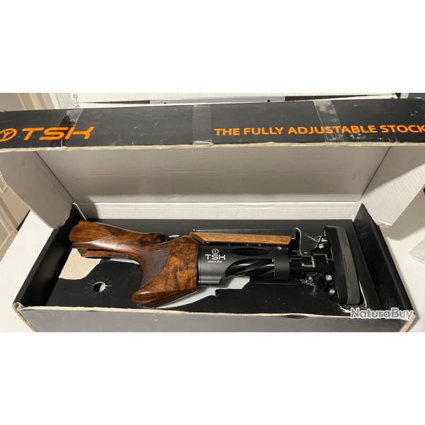 CROSSE TSK se monte sur DT10 et DT11