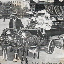 Carte Postale Ancienne - Lyon, Voiture aux Ch&egrave;vres, Place Bellecour -N&deg;6042