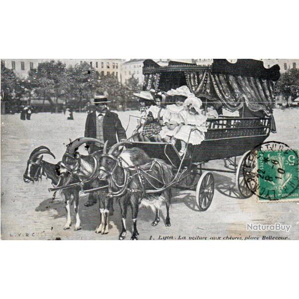 Carte Postale Ancienne - Lyon, Voiture aux Ch�vres, Place Bellecour -N�6042