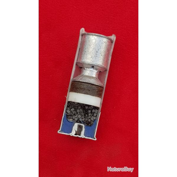 12 gros gibier  didactique