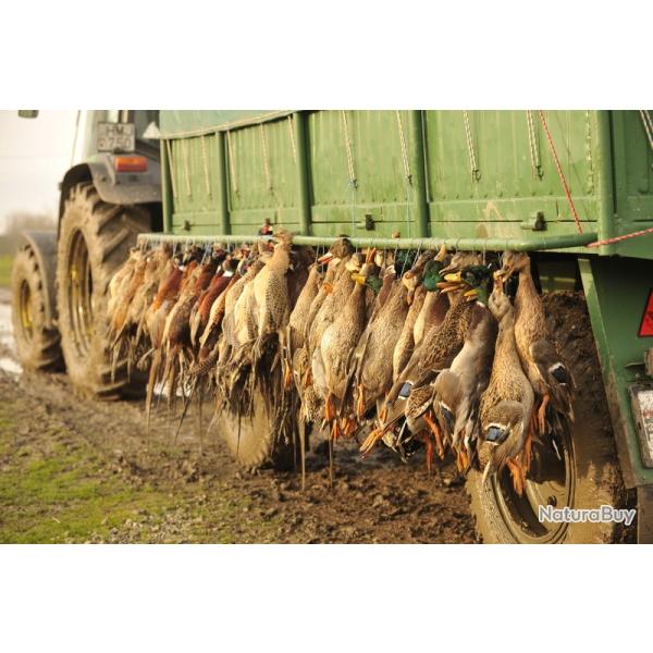 La chasse du petit gibier en Hongrie