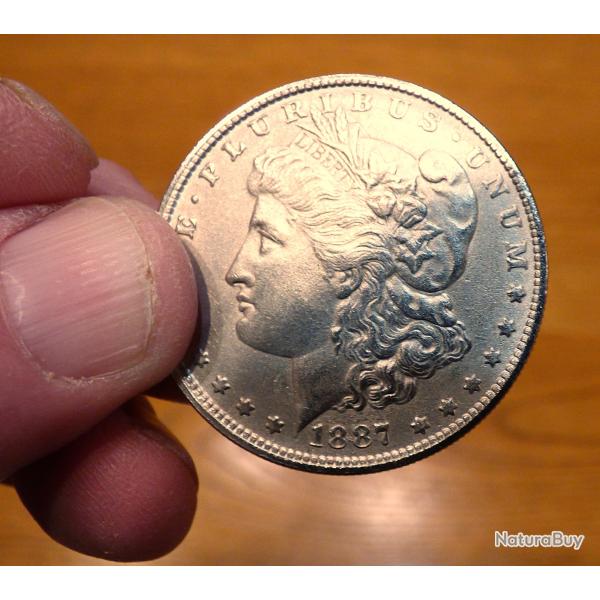 BELLE PIECE DE MONNAIE DE LA LIBERTE USA DE L'ANNEE 1887 - SPLENDIDE PIECE ANCIENNE DE REPRODUCTION