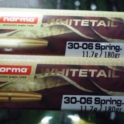 Balles NORMA par 40 cart en 30.06