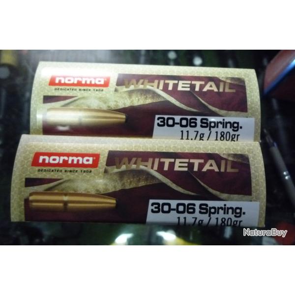 Balles NORMA par 40 cart en 30.06