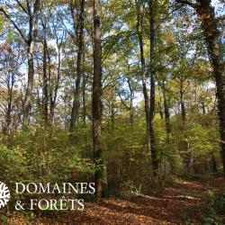 Bois dans le Cher (18) d'environ 5 hectares DF-1154-A
