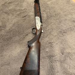 Sagittaire becassier mordor&eacute;e