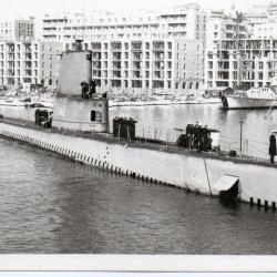Photographie sous-marin -N&deg;6077