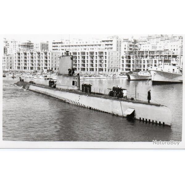 Photographie sous-marin -N�6077