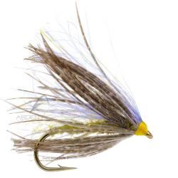 Mouche Igor et Nadica Stancev Peute olive H12