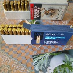 balles 300w m 180 grains