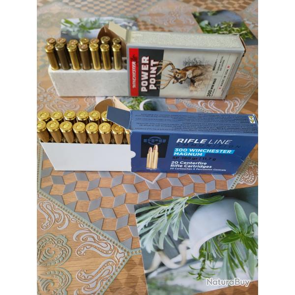 balles 300w m 180 grains