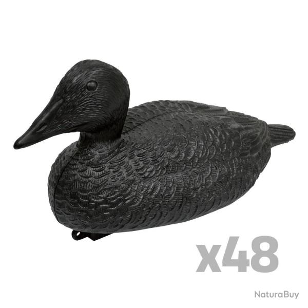 Lot de 48 Eiders r�alistes traitement anti reflet noir
