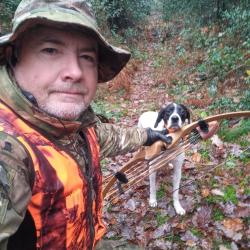 Femelle pointer de 3 ans.Chasse petits gibiers, chevreuils,  sangliers et grands animaux