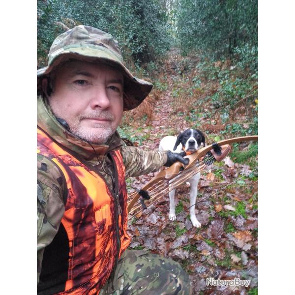 Femelle pointer de 3 ans.Chasse petits gibiers, chevreuils,  sangliers et grands animaux