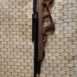 Benjamin Airguns carabine PCP Crosman Akela 4.5mm