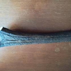 BOIS MUE DE CERF 32CM CIRCONFERENCE MEDIANE 12,5CM COUTELLERIE OBJETS DIVERS