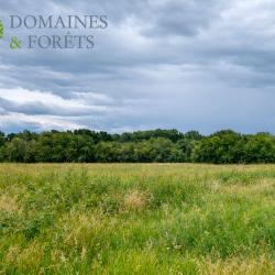 Propri&eacute;t&eacute; Rurale en Nouvelle-Aquitaine d'environ 20 hectares DF-641-A