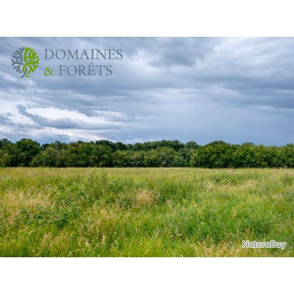 Propri�t� Rurale en Nouvelle-Aquitaine d'environ 20 hectares DF-641-A