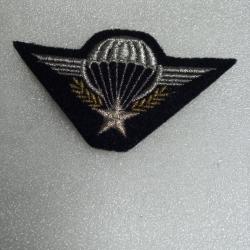 Insigne tissu brevet Para