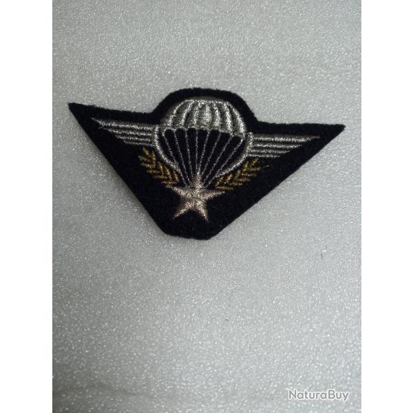 Insigne tissu brevet Para