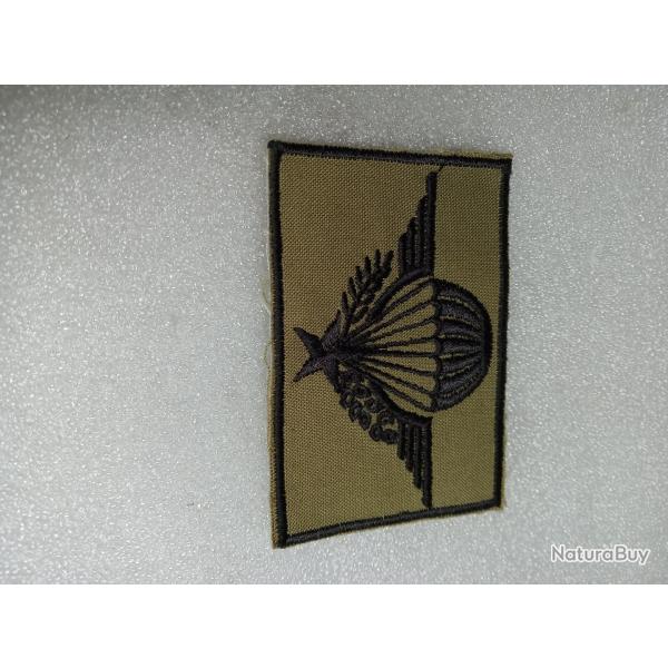 Insigne en tissu brevet Para