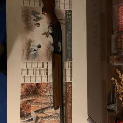 Semi-automatique rottweil