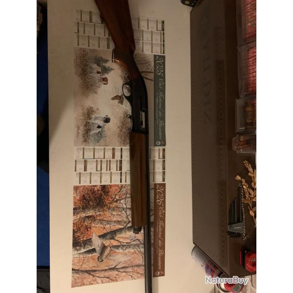 Semi-automatique rottweil