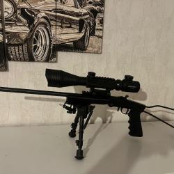 Little badger 17HMR
