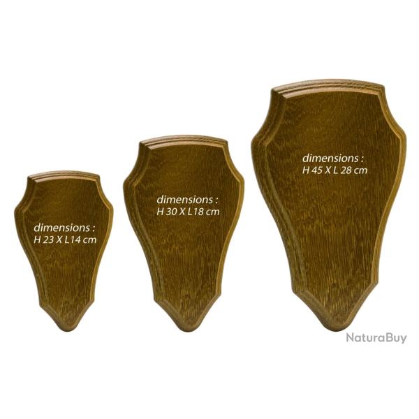 Ecusson pour troph�e chevreuil ou cerf - Chevreuil moyen