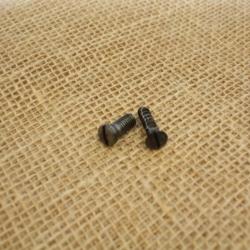 Set de vis de pontet Kropatschek 1886