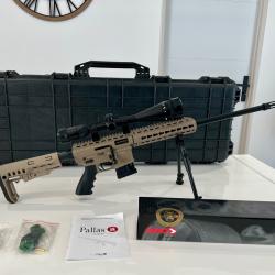 Carabine Pallas BA-15 cal.22Lr &eacute;quip&eacute;