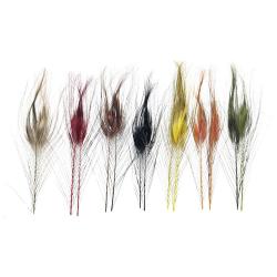 QUILL DE PAON EBARBE Orange