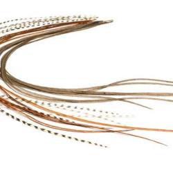 LANCETTE TOP QUALITE DVX Gris