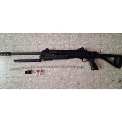 Fusil &agrave; pompe FABARM STF12 cat C