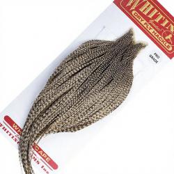 Cous de coq WHITING Pro grade Dun Grizzly