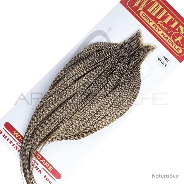Cous de coq WHITING Pro grade Dun Grizzly
