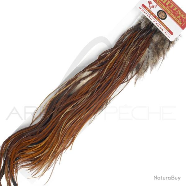 1/2 saddle WHITING bronze roux