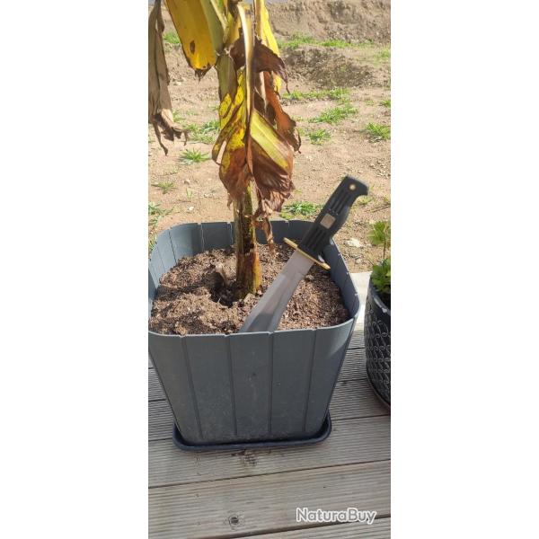Couteau machette lame inoxidable, top fiabilit�, robuste  1� sans prix de r�serve!!!!