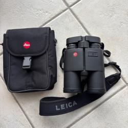 Jumelles leica 10x42 HD